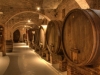 cantine_vinicole